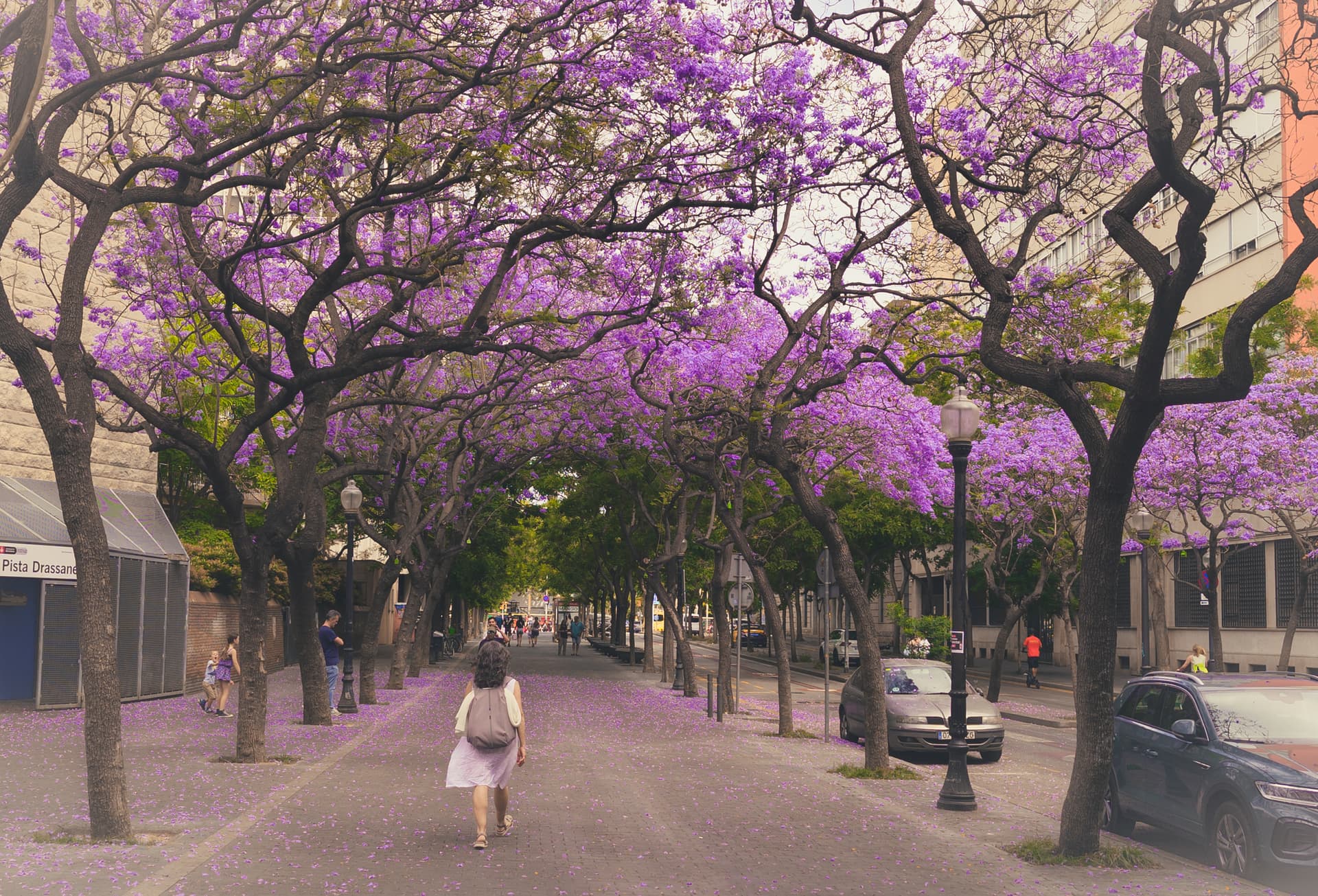 Cinematic Still - 16